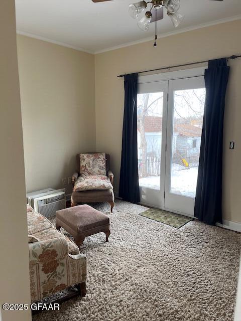 216 6TH Avenue S