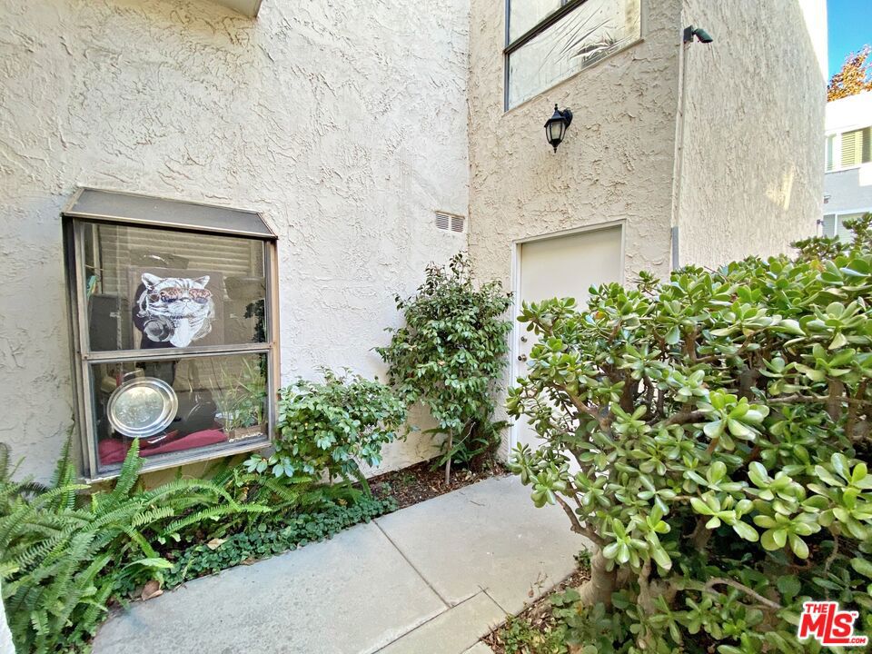 18411 Hatteras Street Unit: 244