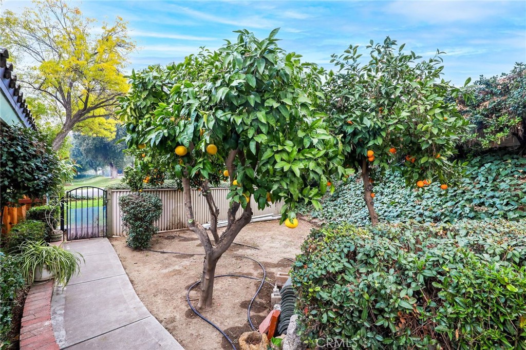 6003 Courtland Drive