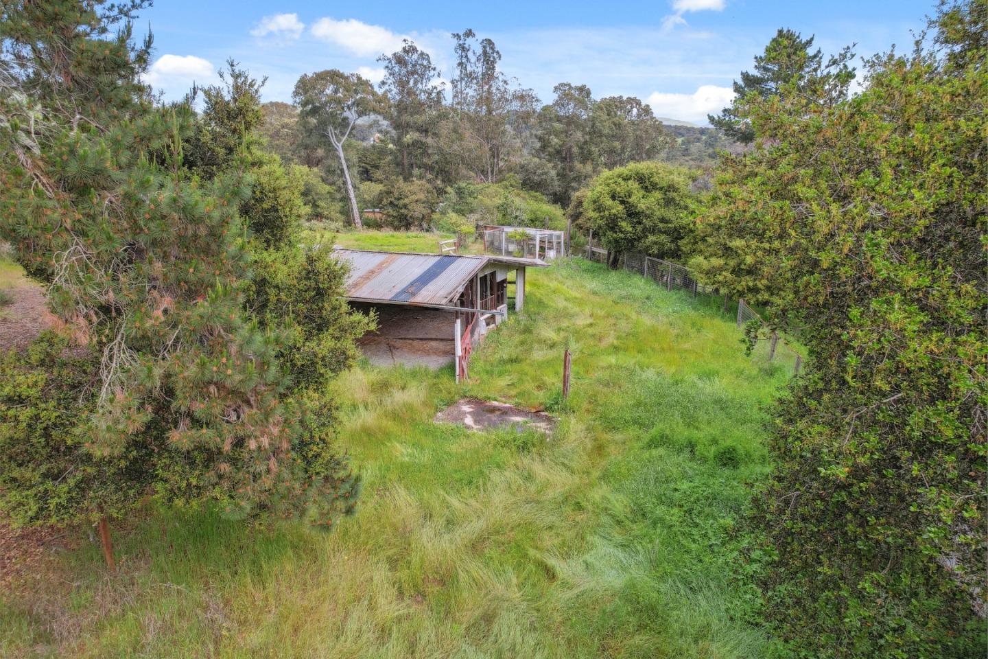 384 Crazy Horse Canyon RD