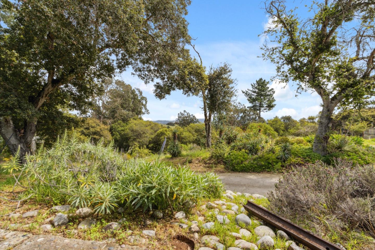 384 Crazy Horse Canyon RD