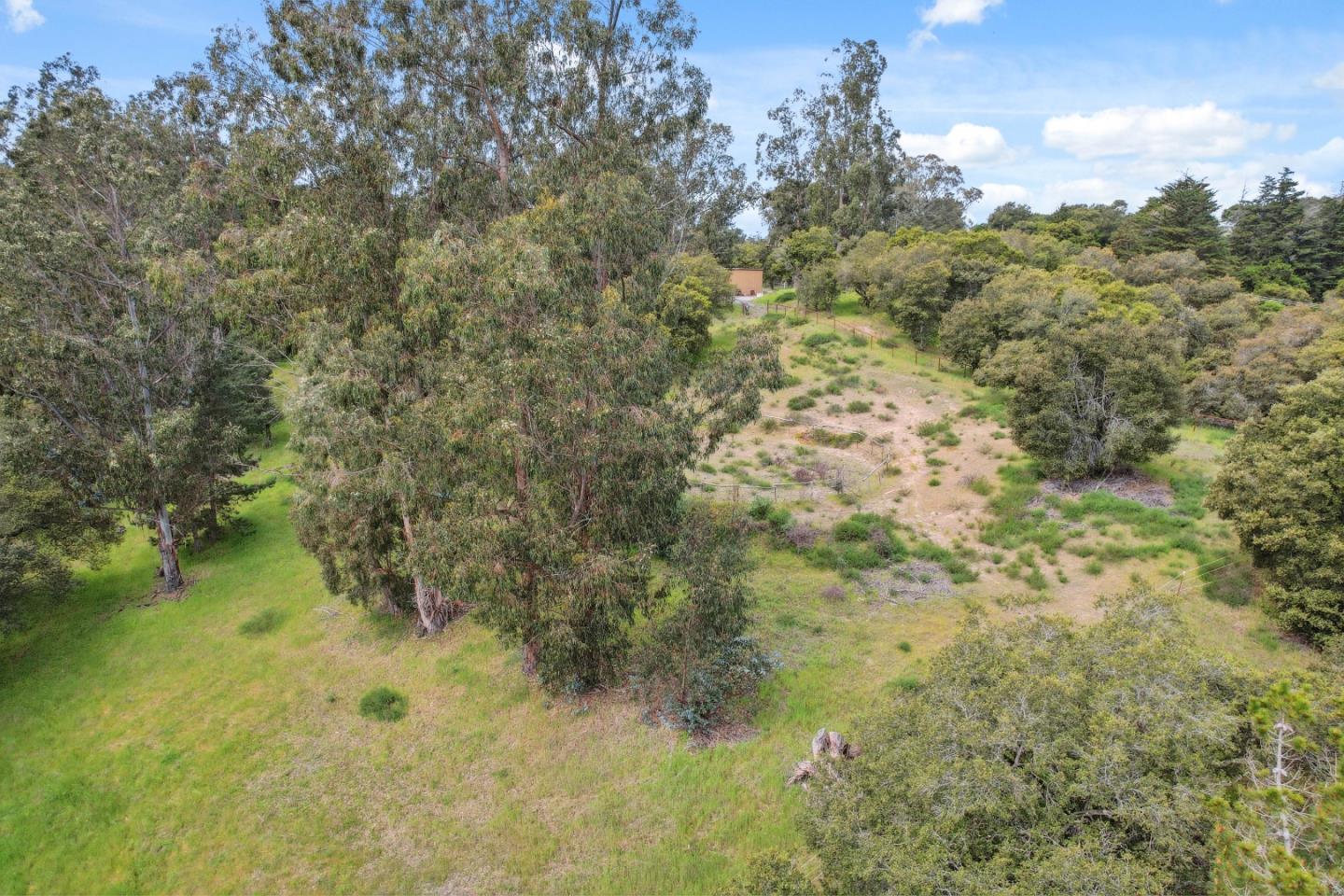 384 Crazy Horse Canyon RD