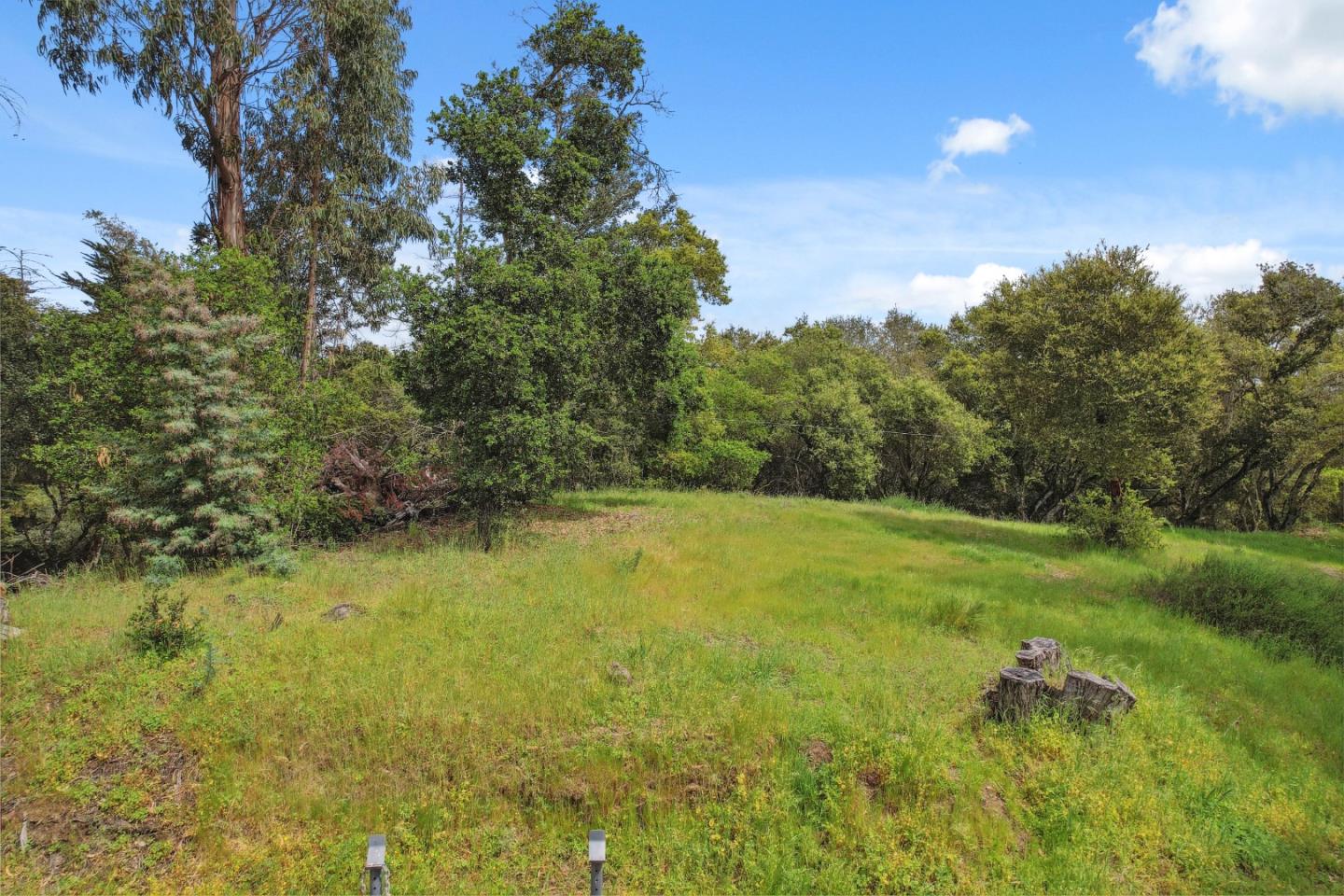 384 Crazy Horse Canyon RD