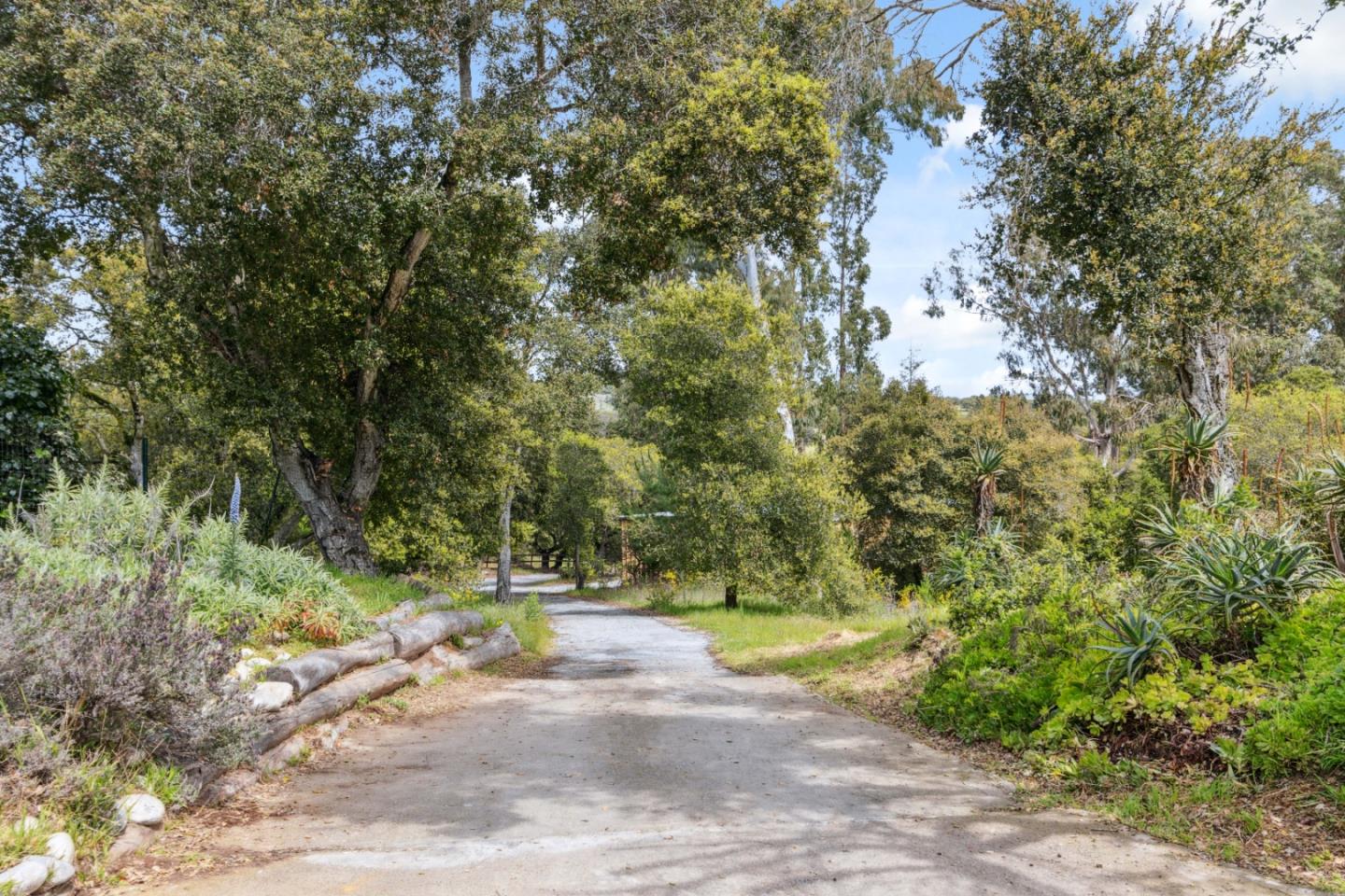 384 Crazy Horse Canyon RD