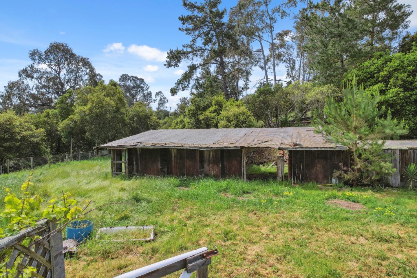 384 Crazy Horse Canyon RD