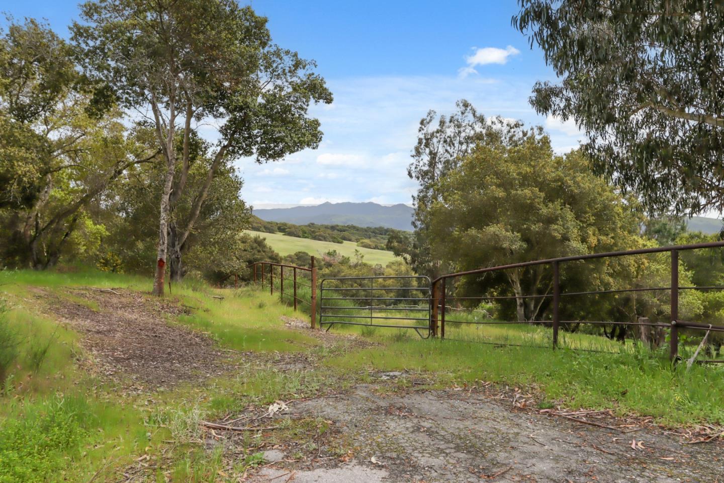 384 Crazy Horse Canyon RD