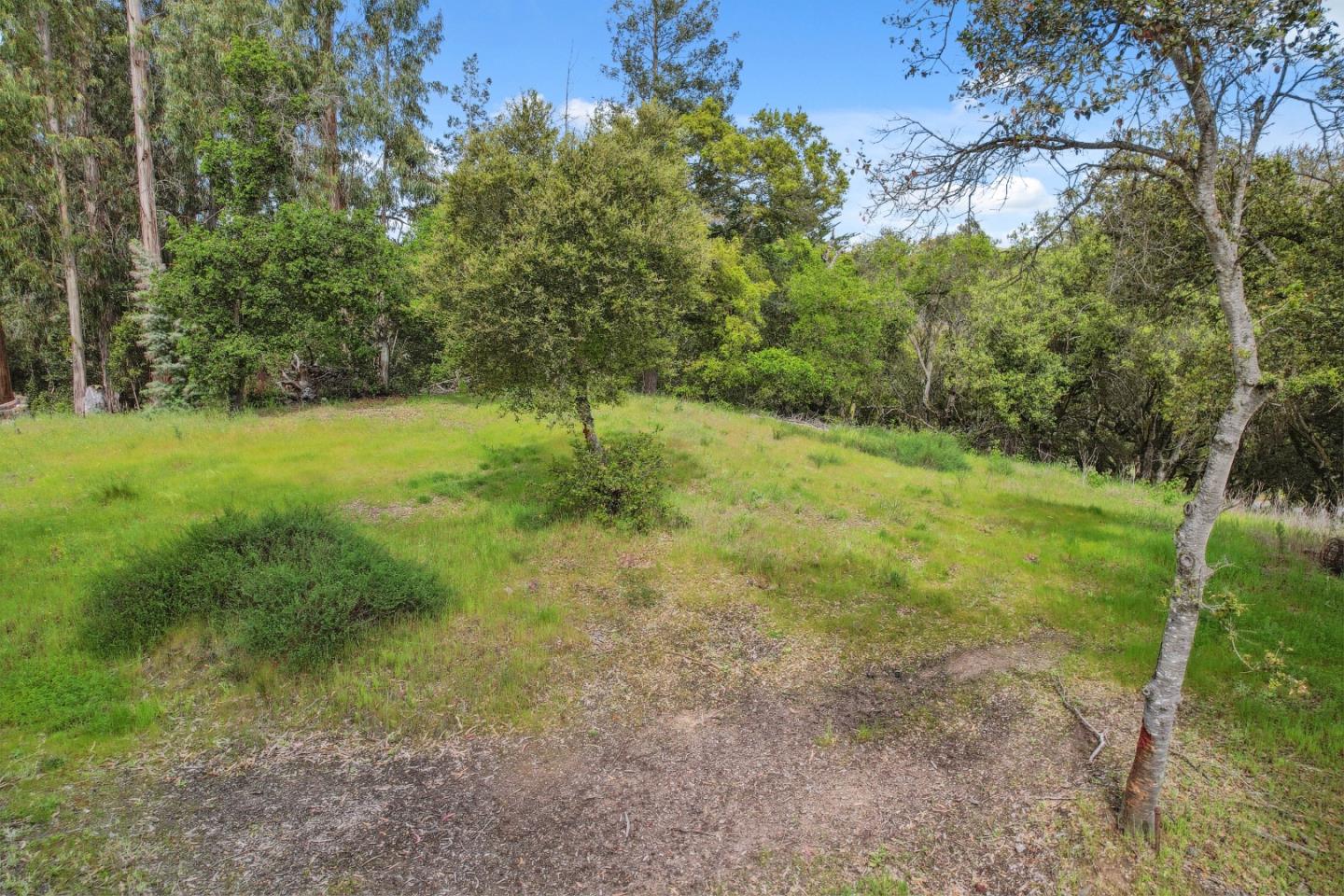 384 Crazy Horse Canyon RD