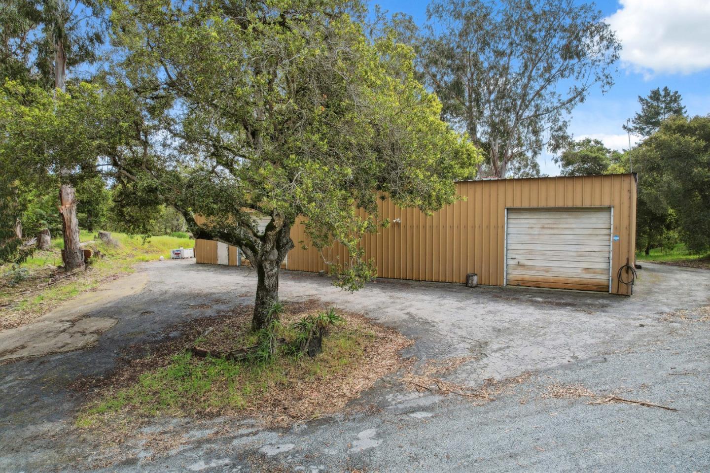 384 Crazy Horse Canyon RD