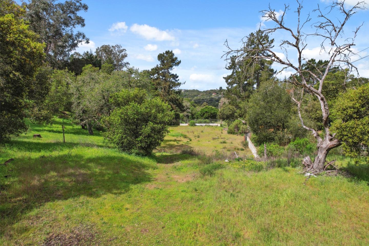 384 Crazy Horse Canyon RD