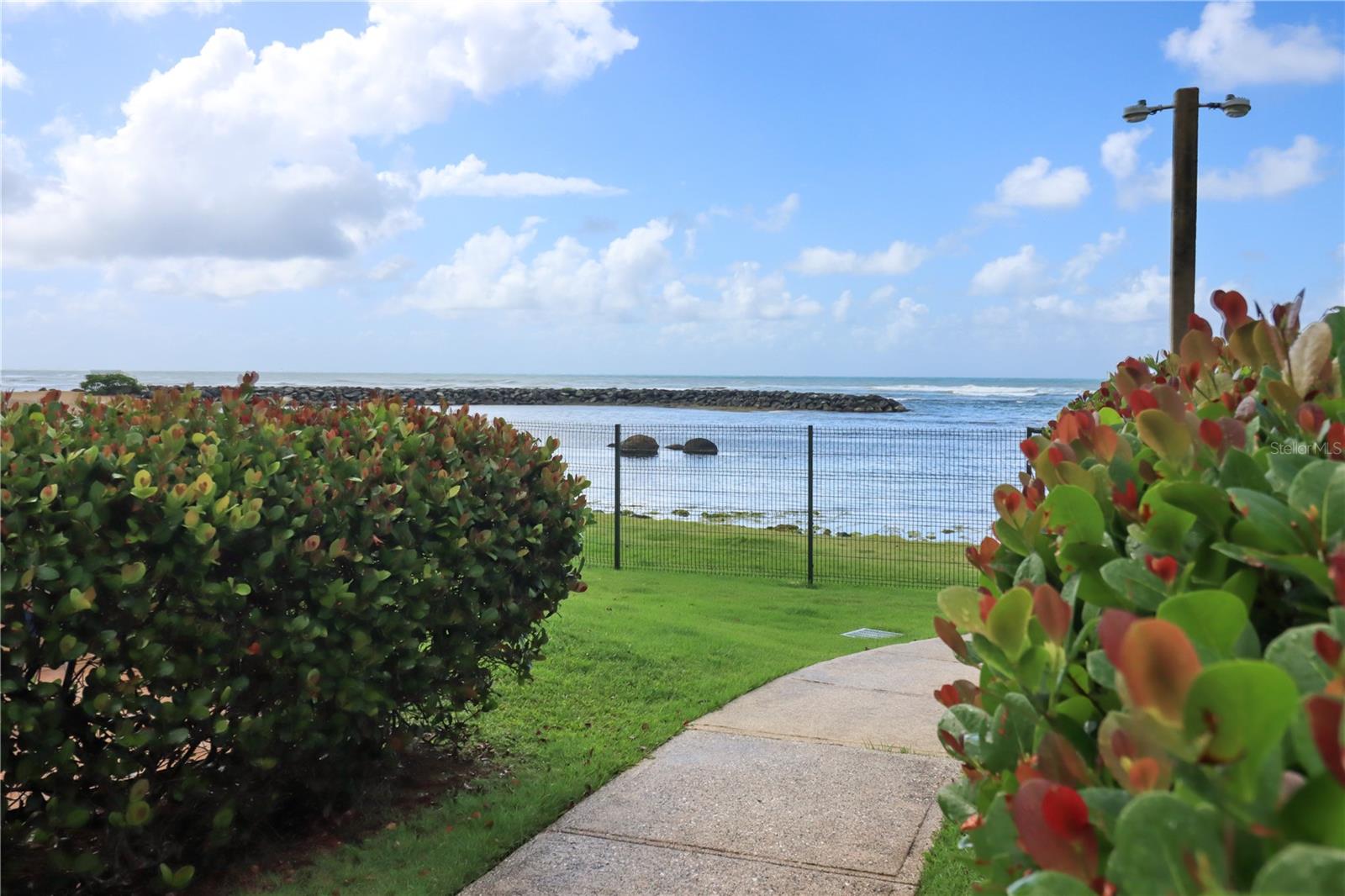 41 DORADO DEL MAR BLVD #41