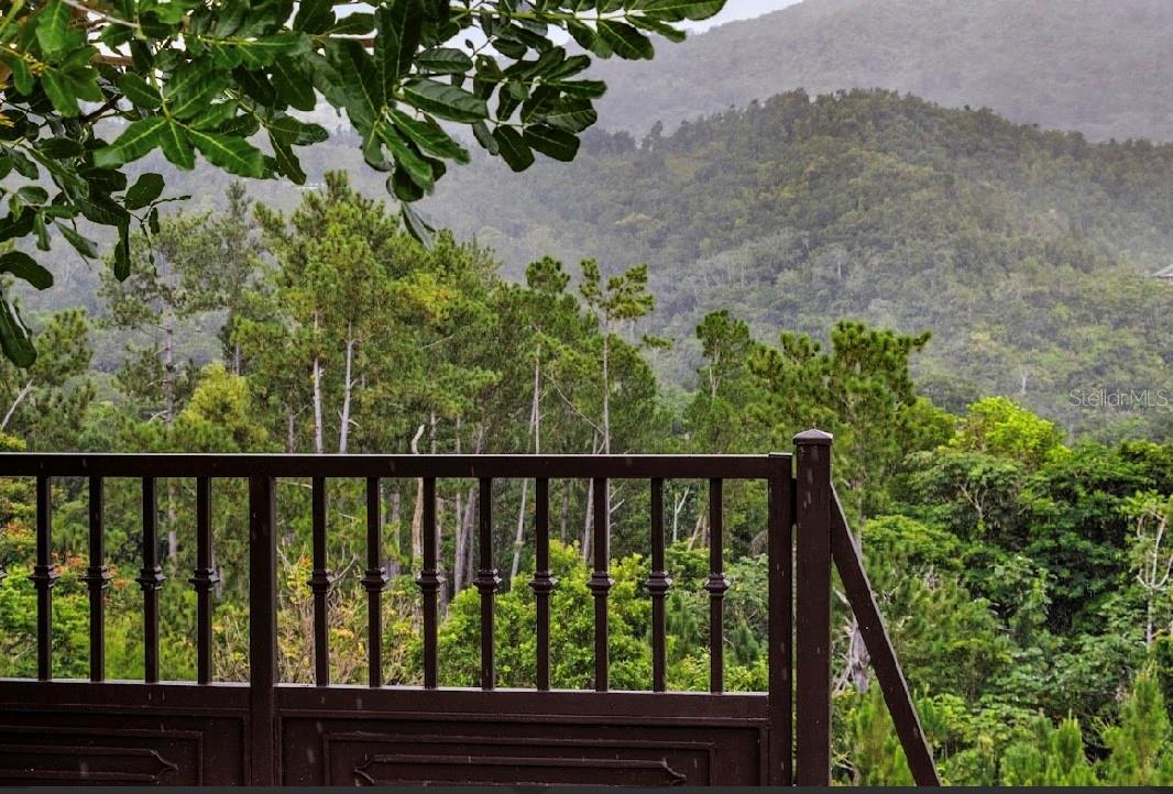 184 km BO GUAVATE BRISAS DEL BOSQUE #7