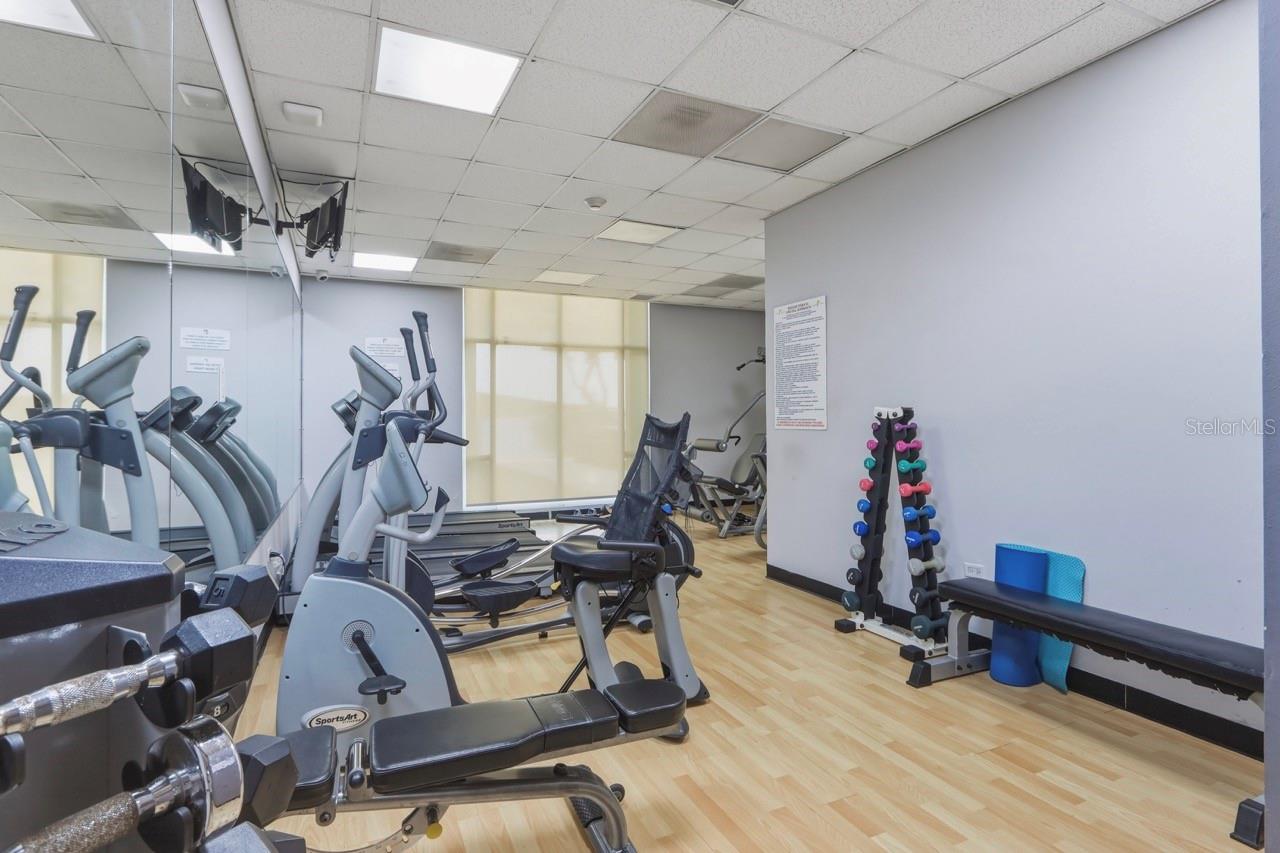 Cond. Puerto Paseos AVENIDA FELISA RINCON GAUTIER #2104