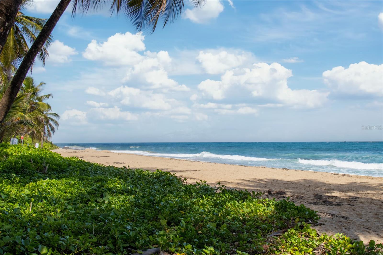 1479 Ashford Ave CONDADO DEL MAR #916