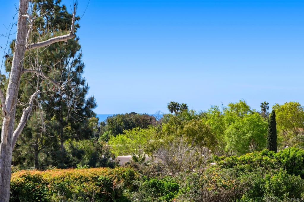 1353 Caminito Septimo