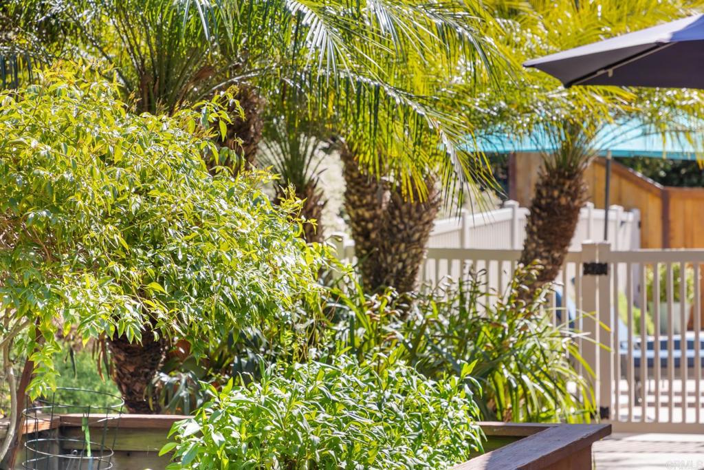 919 Saint Albans Drive