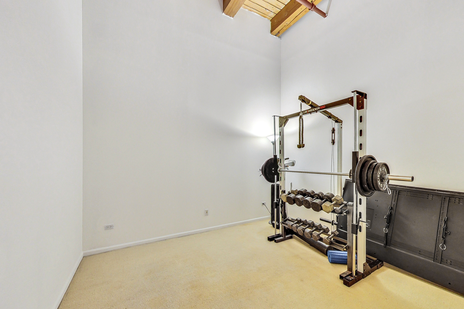 1733 W Irving Park Road Unit: 217