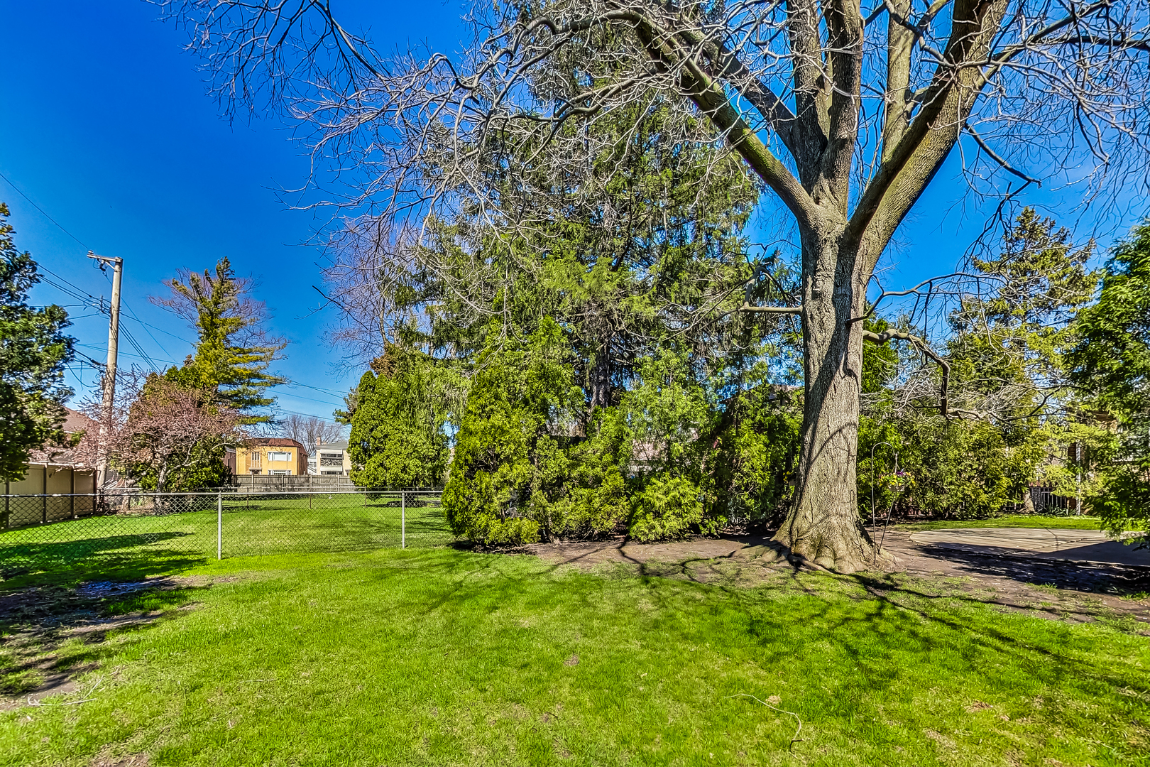 6342 N Natoma Avenue