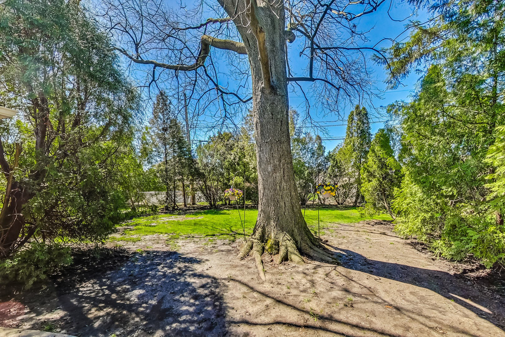 6342 N Natoma Avenue