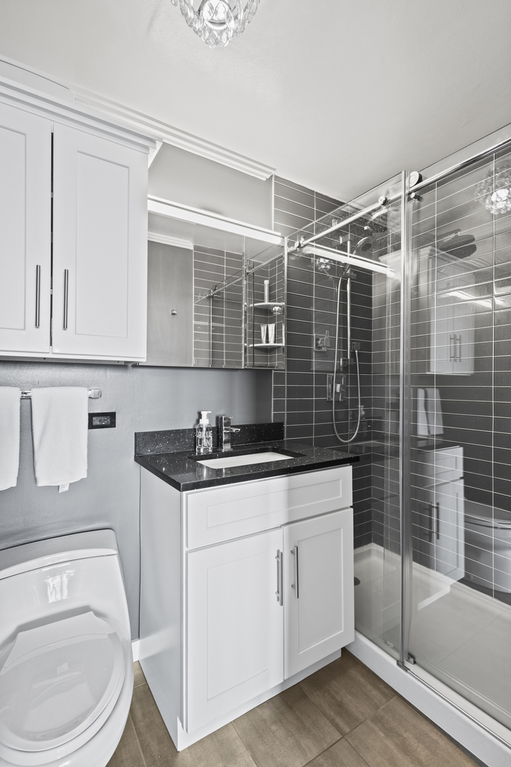 655 W Irving Park Road Unit: 4717