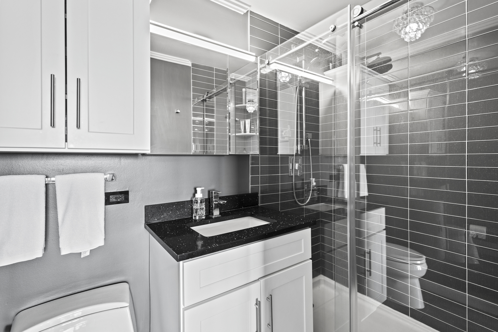 655 W Irving Park Road Unit: 4717