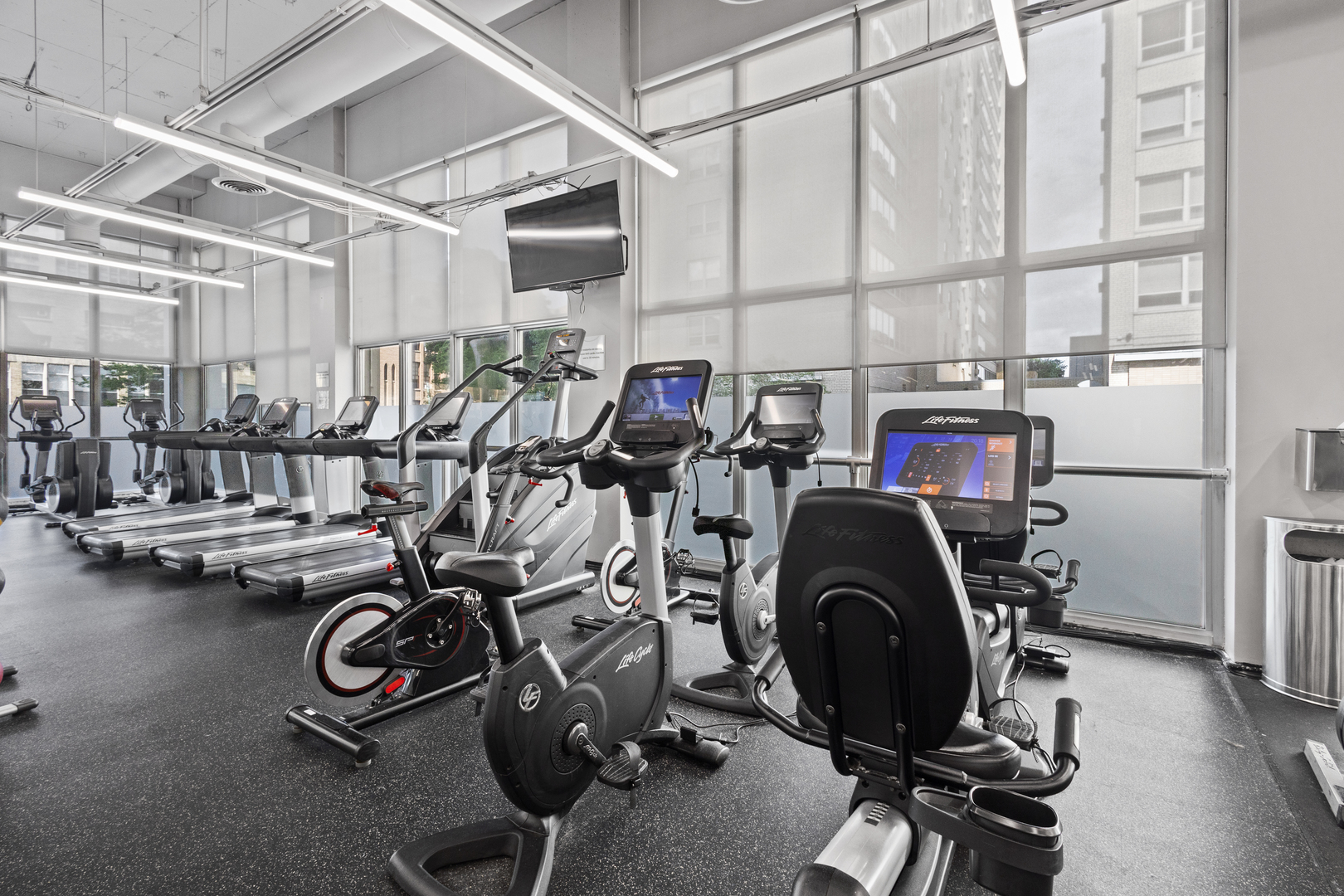 655 W Irving Park Road Unit: 4717