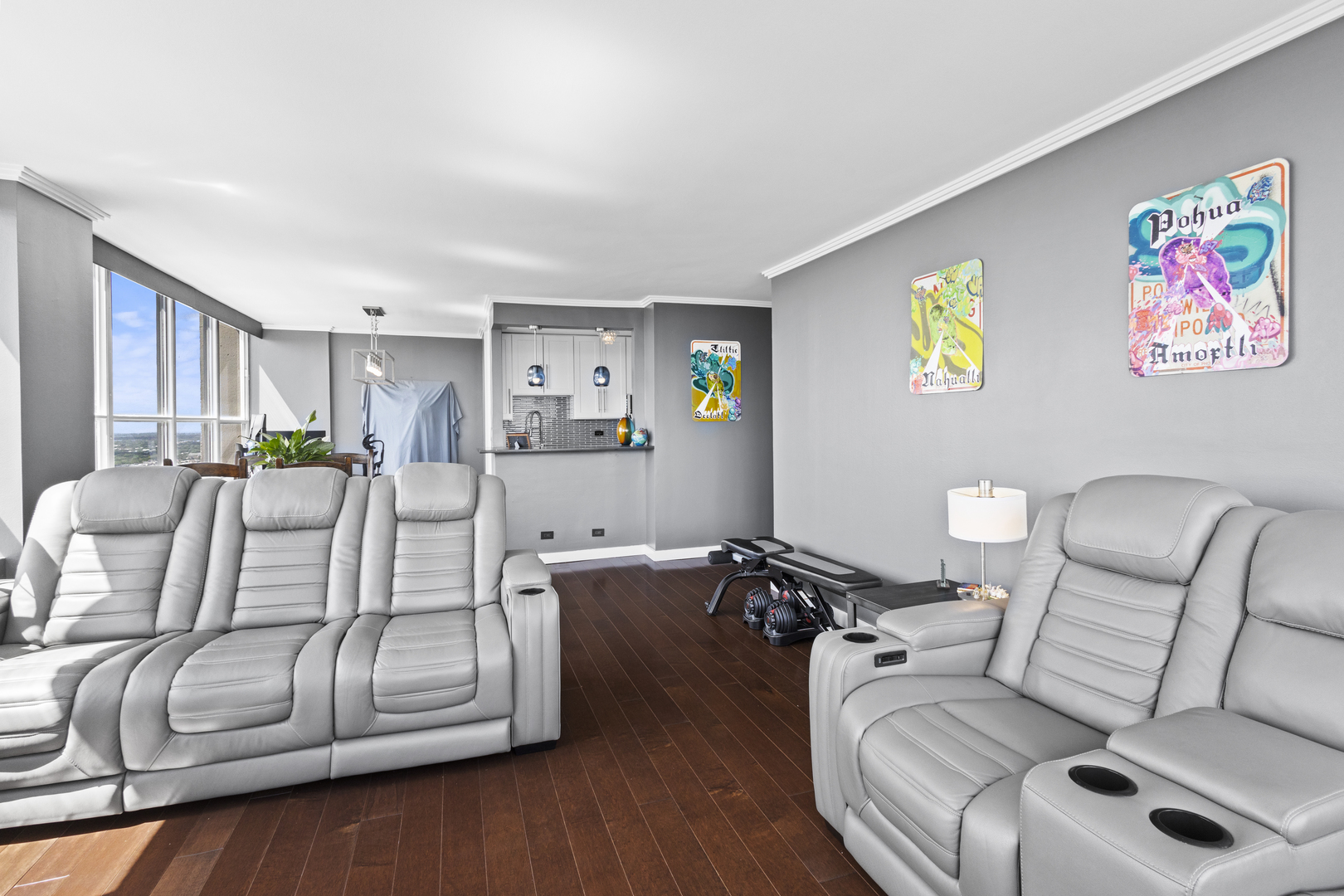 655 W Irving Park Road Unit: 4717