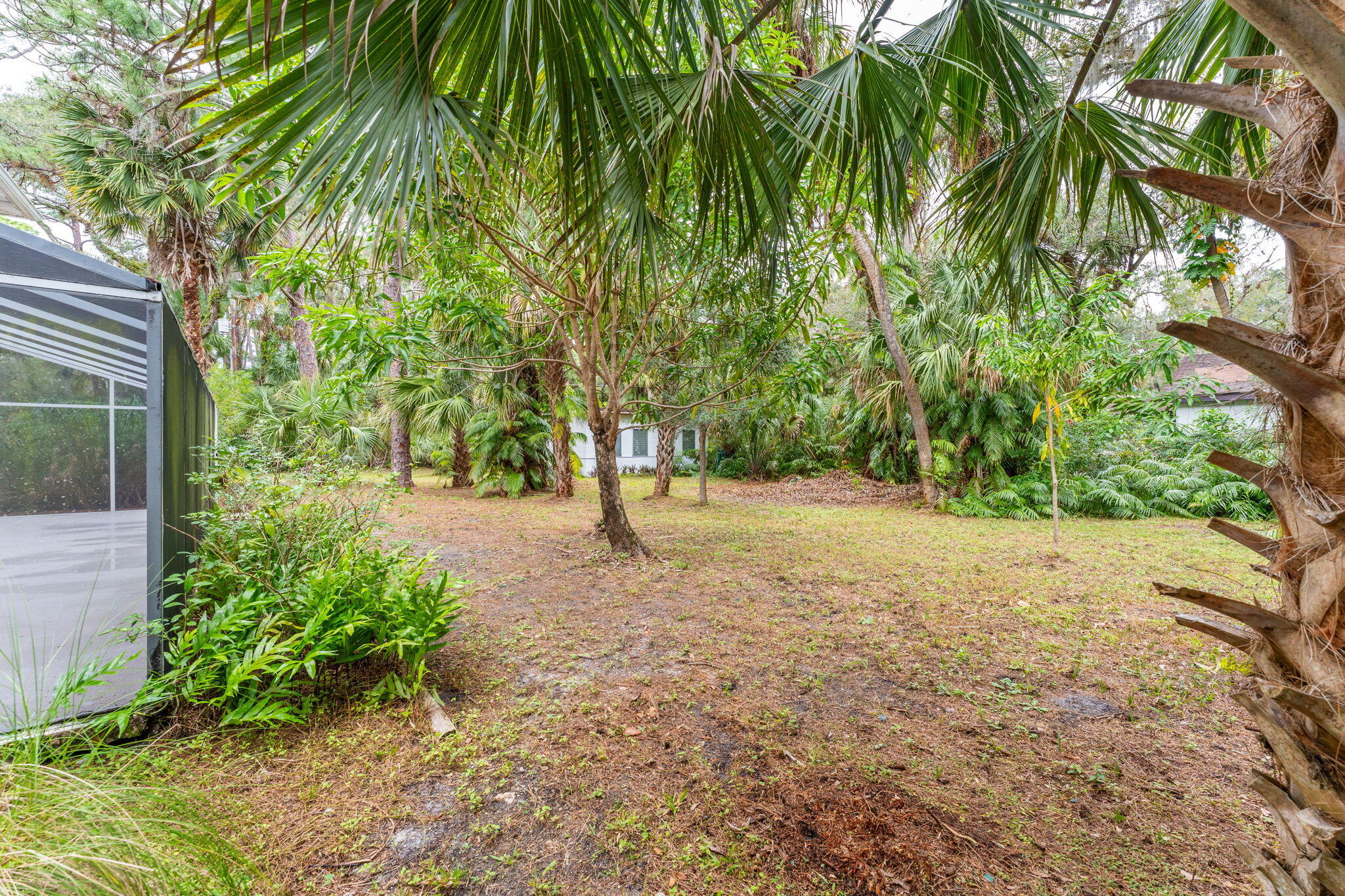 5800 Live Oak Avenue