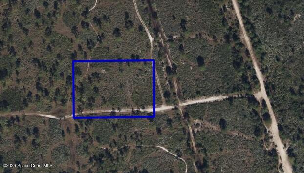 Tbd Tbd, Grant-Valkaria