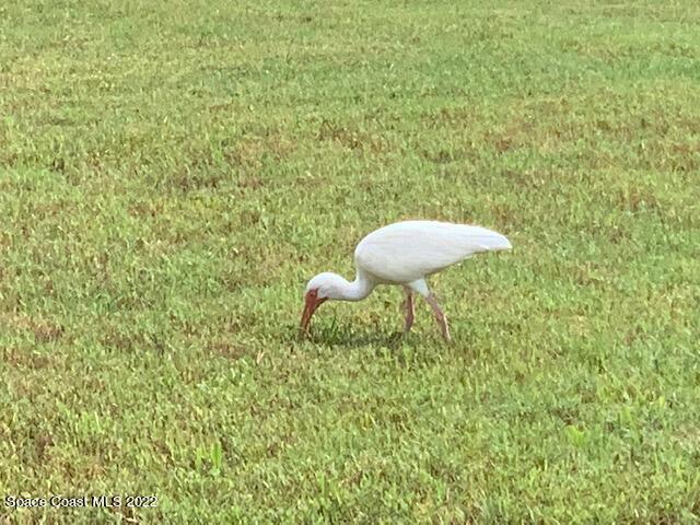 531 Inverness Avenue