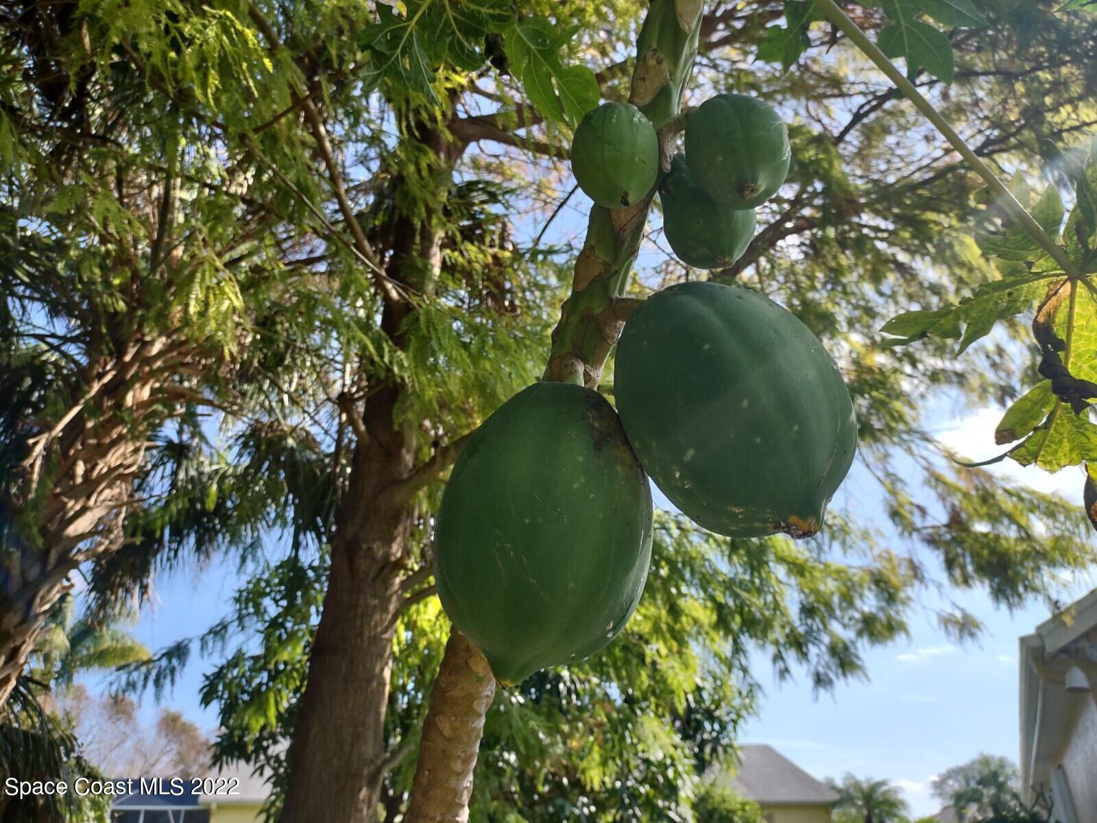 1792 Ladderback Court