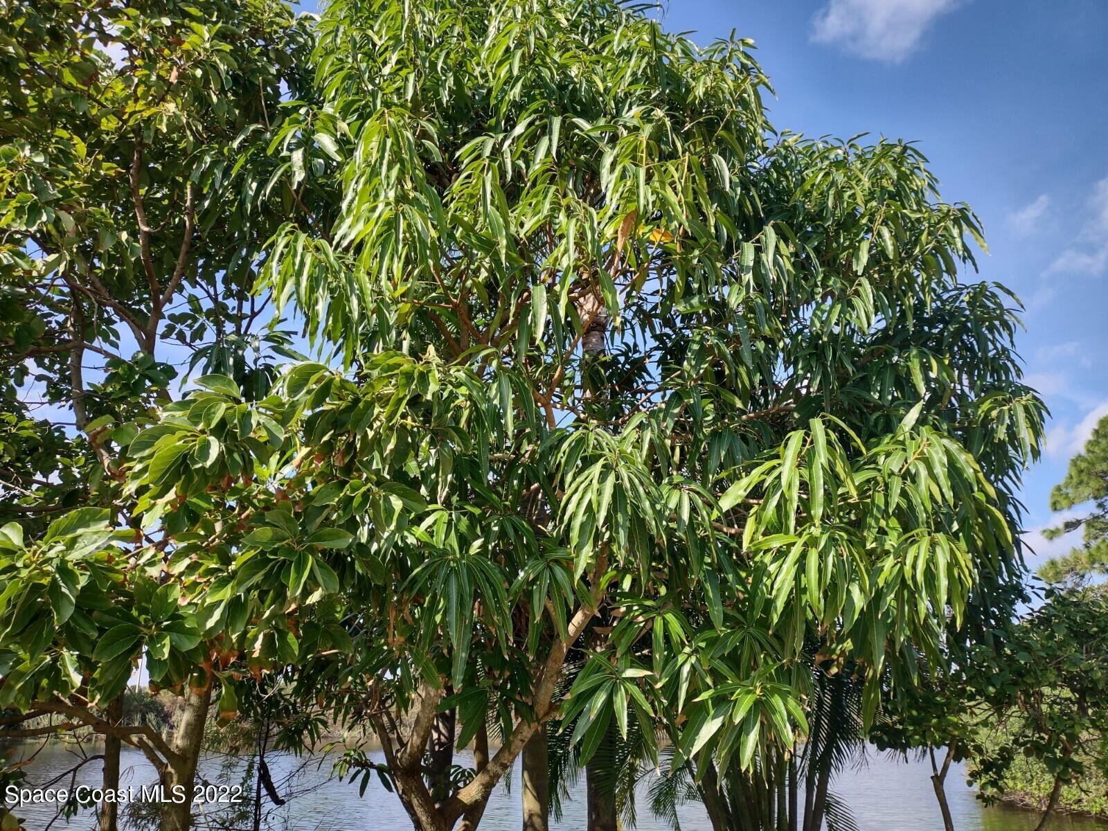 1792 Ladderback Court