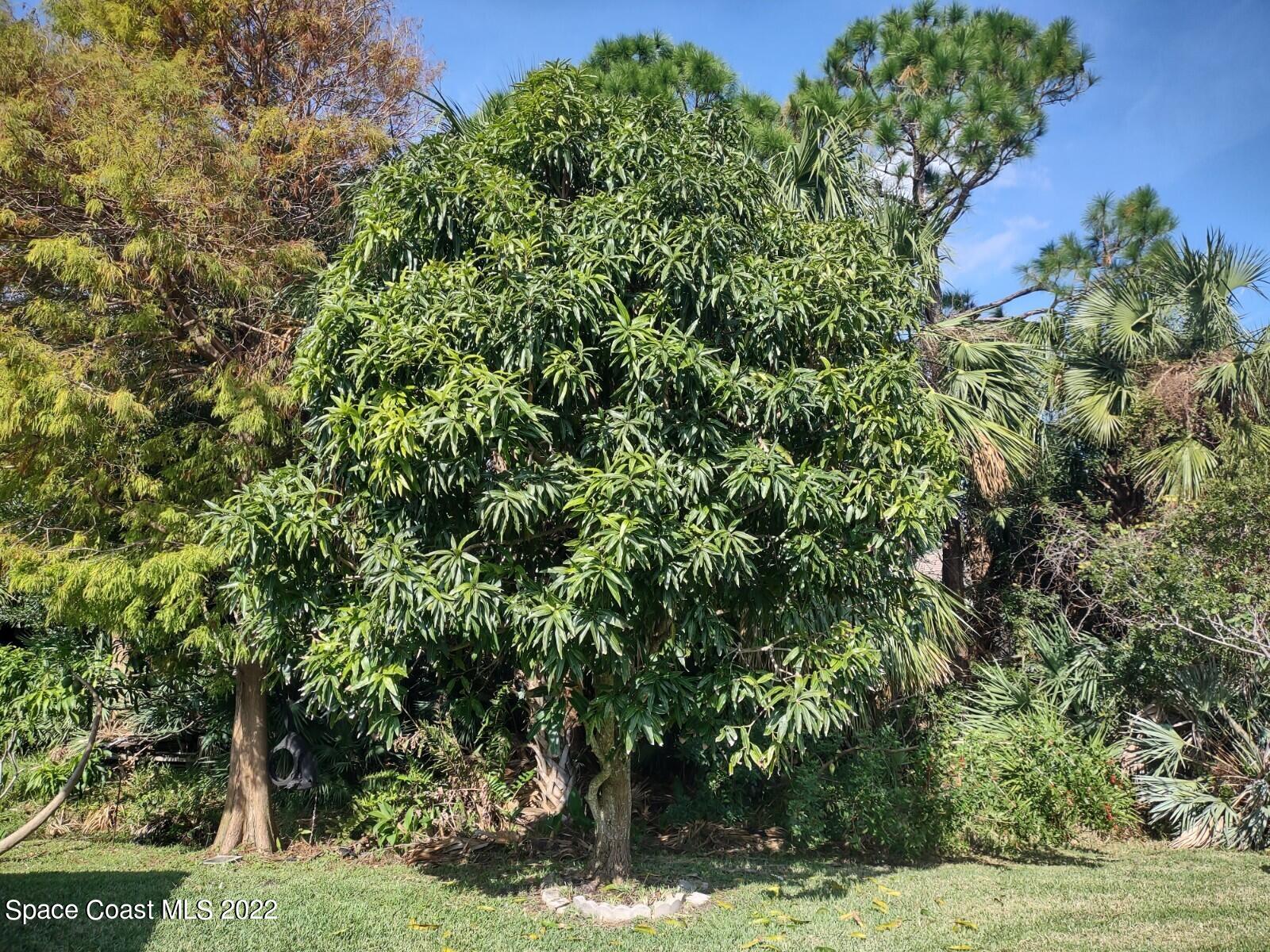 1792 Ladderback Court