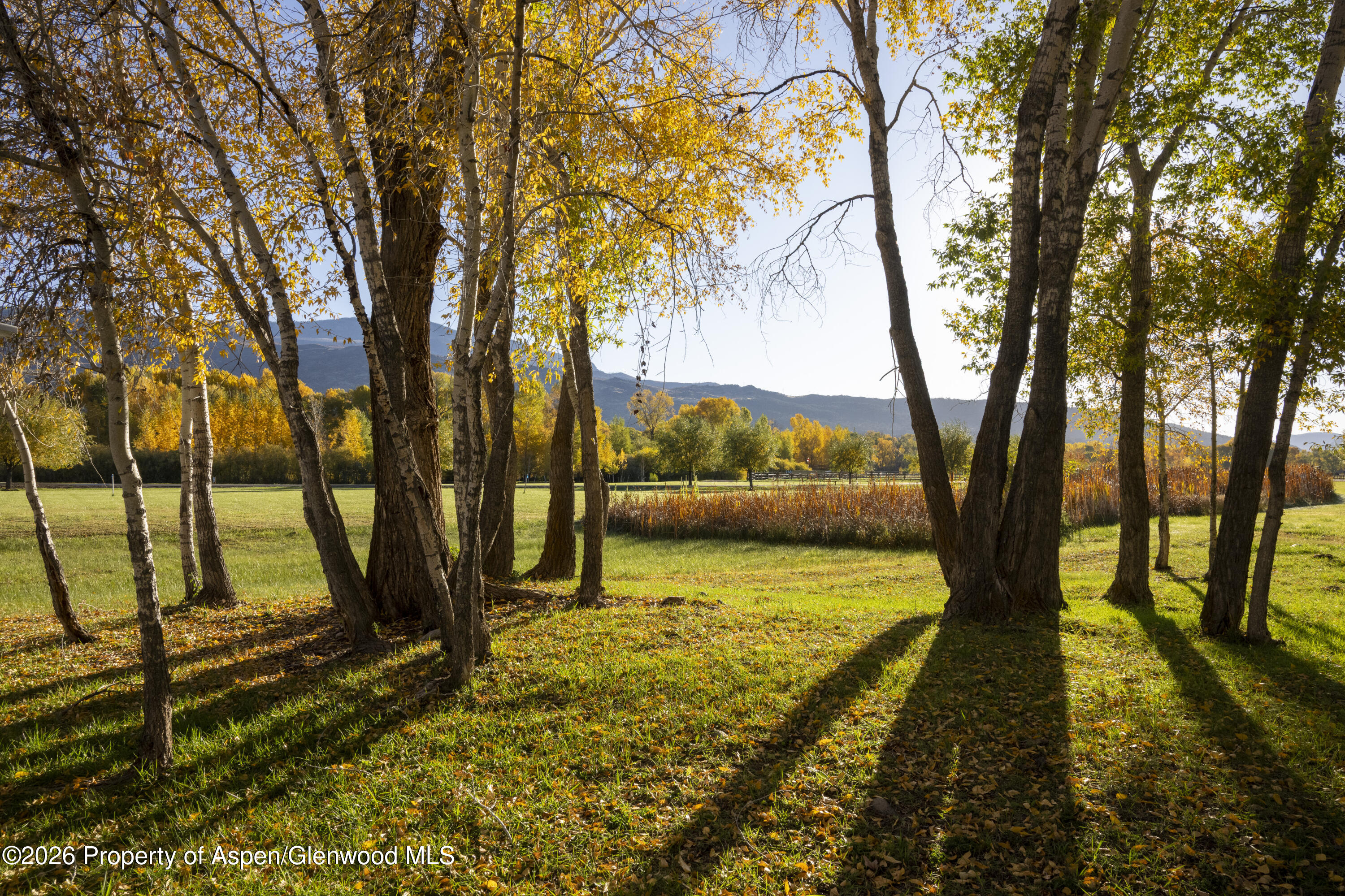 1207 Hooks Spur Road