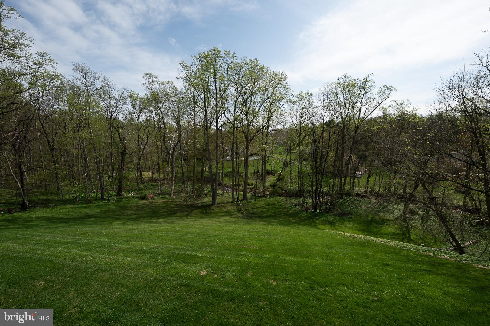 125 SPRINGTON MEWS CIRCLE