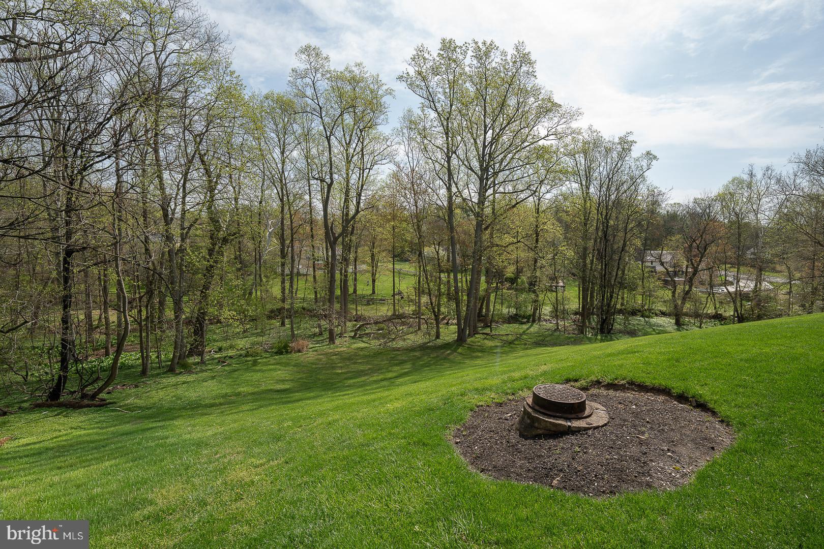 125 SPRINGTON MEWS CIRCLE