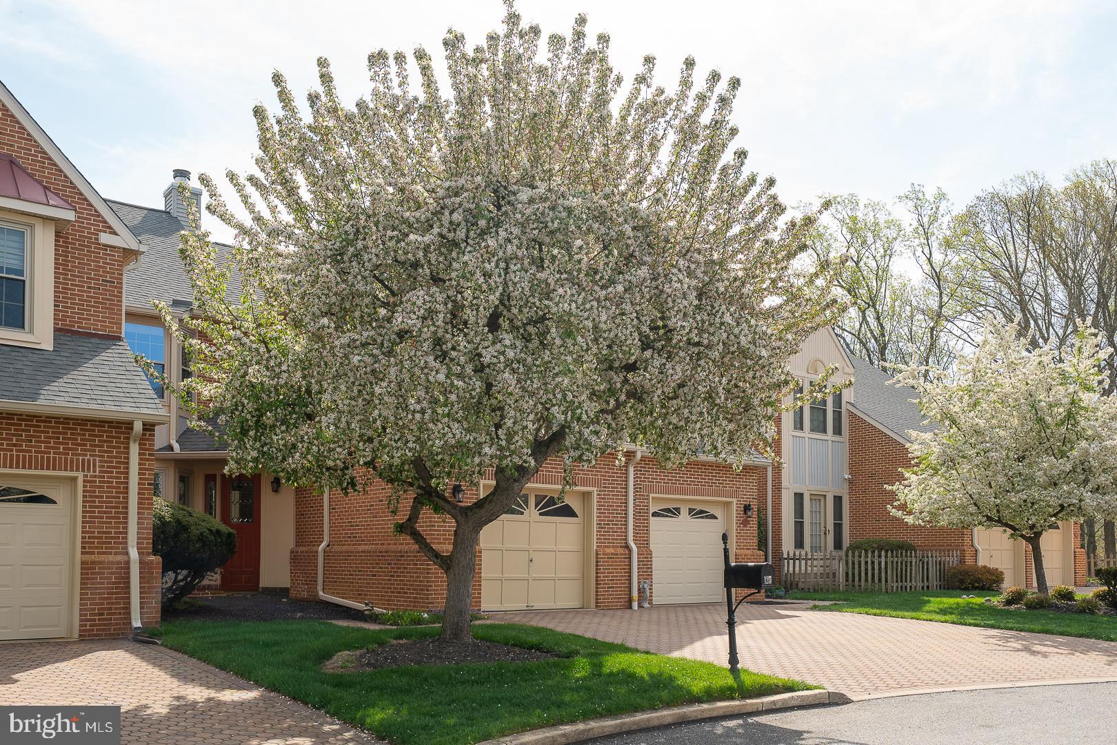 125 SPRINGTON MEWS CIRCLE