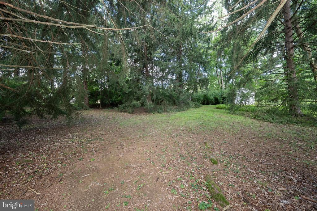 302 EARLES LANE