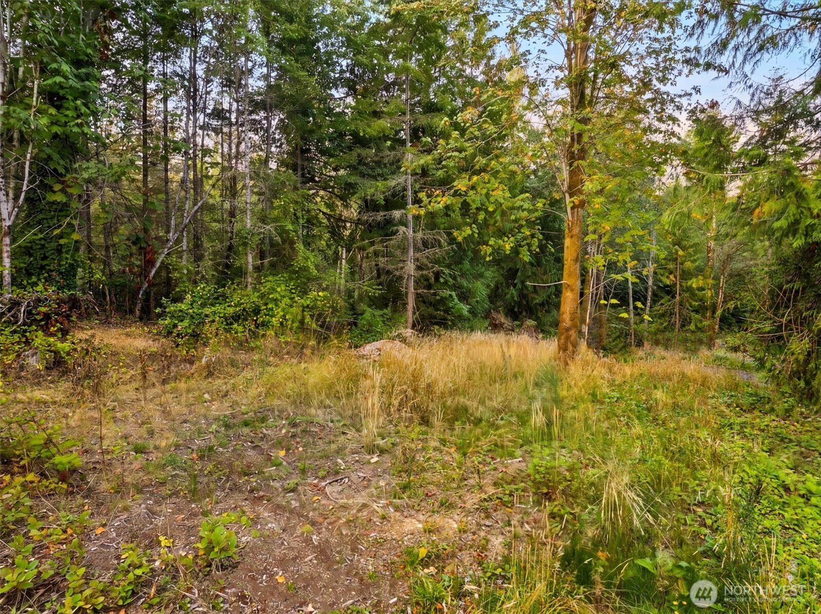 14245 Pita Lane NE Unit: B