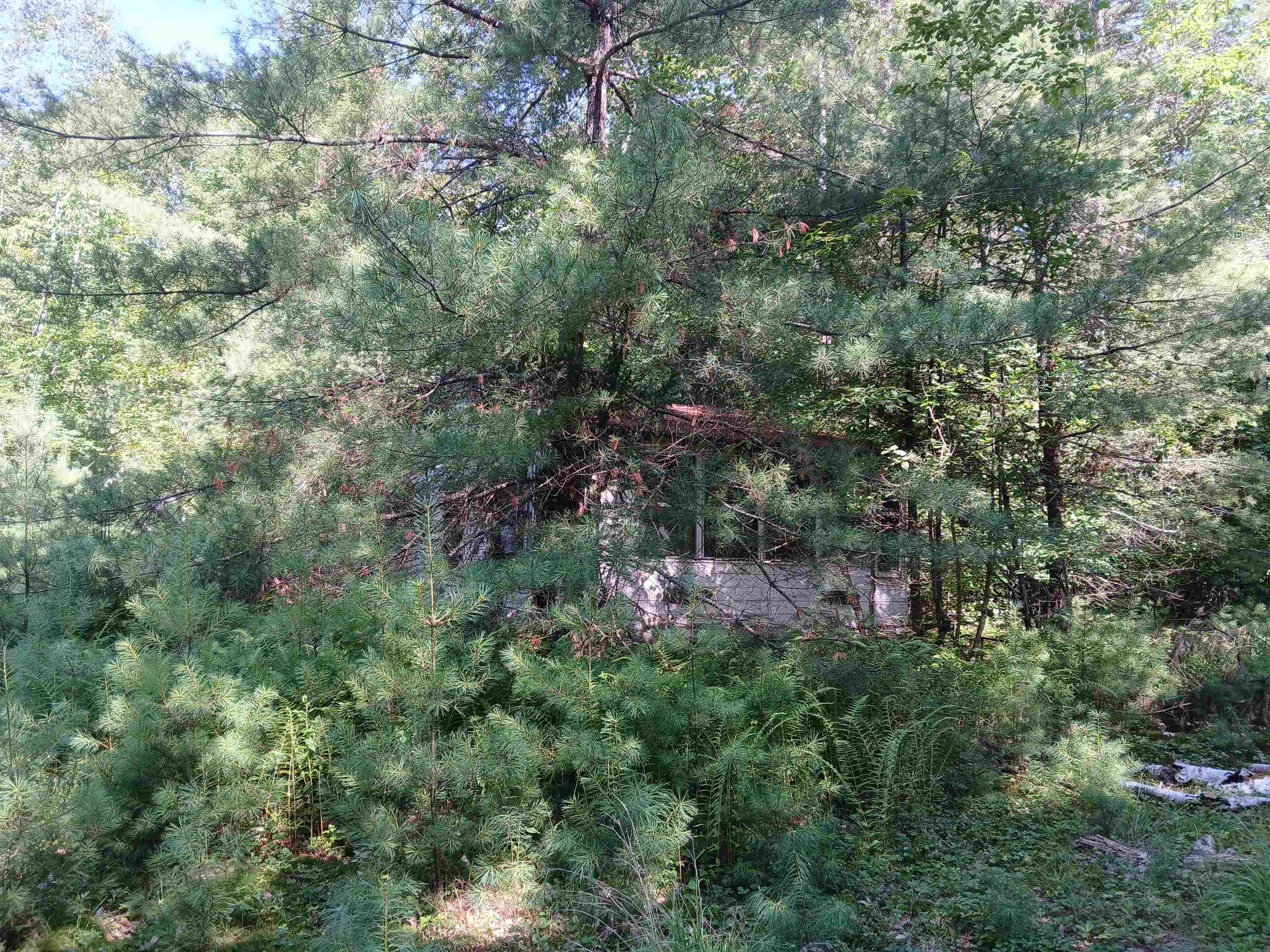 106 Middle Road