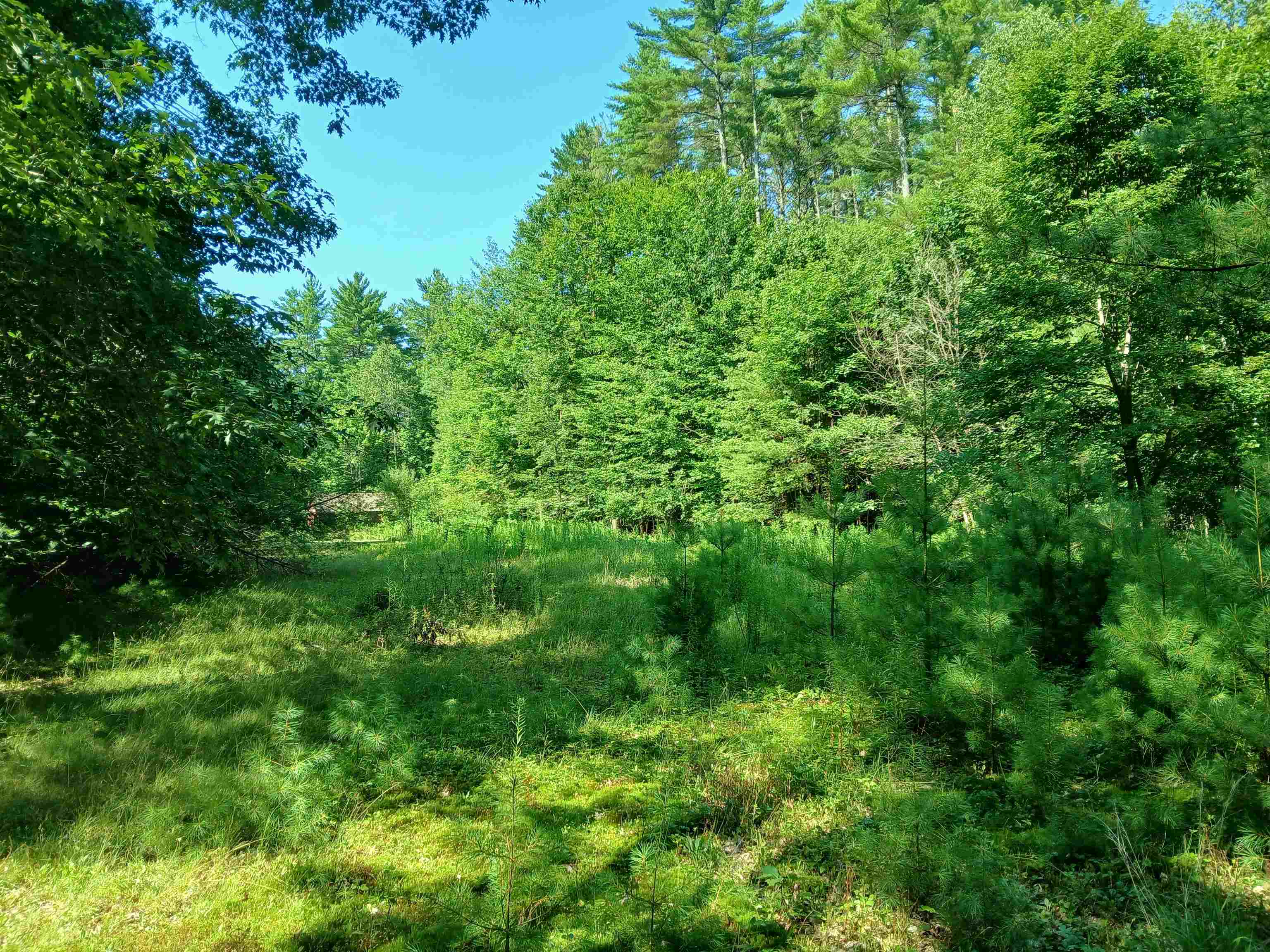106 Middle Road