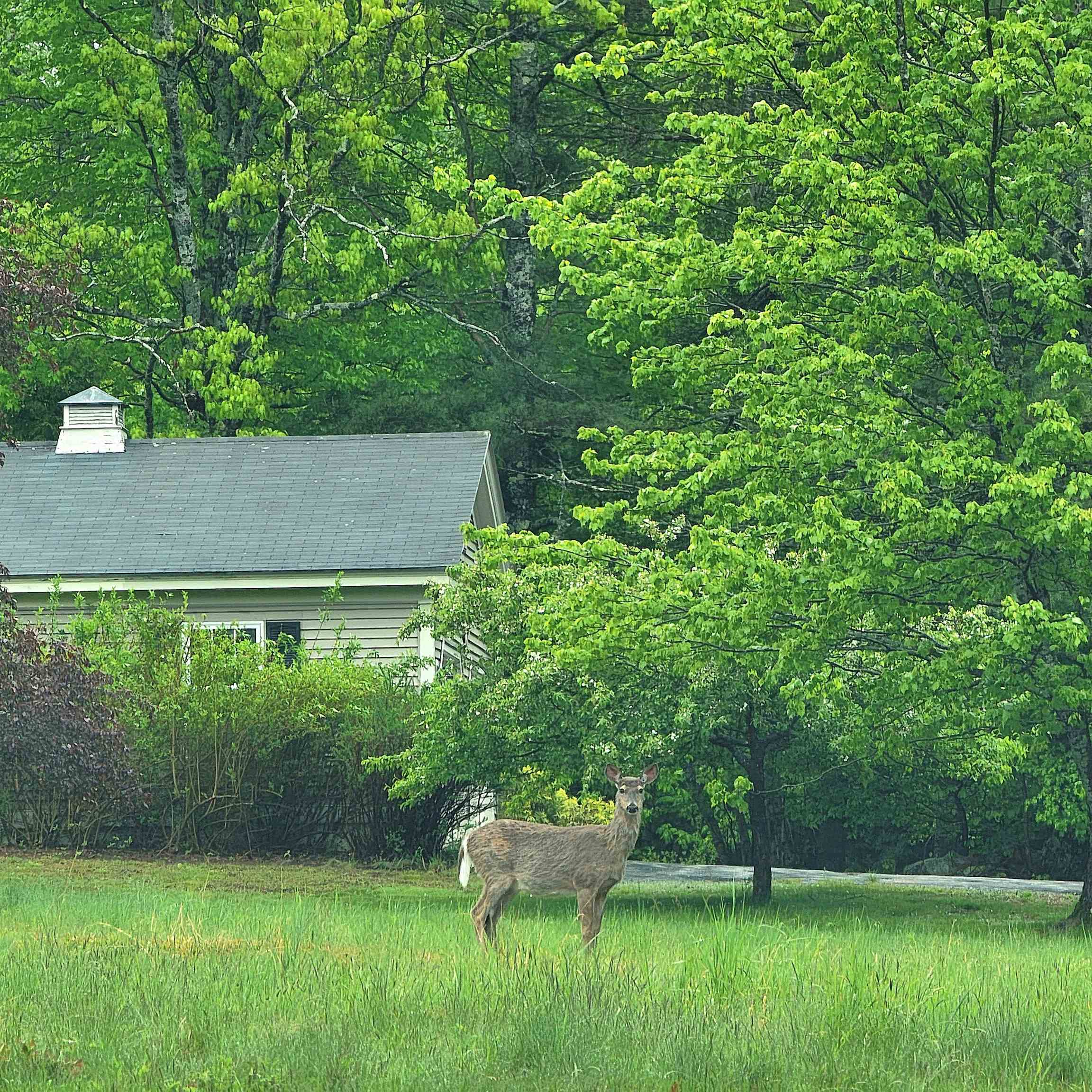 13 Federal Corner Road