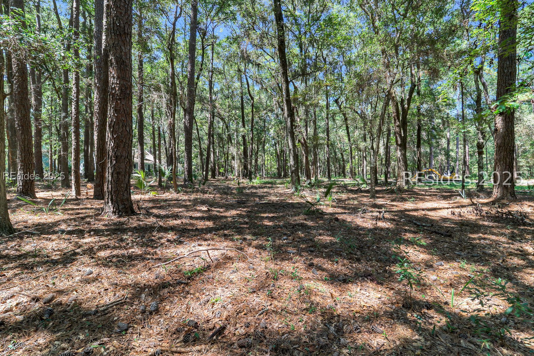Wooded property lot with a pine-needle clearing, mature trees, and a house partly visible through the woods.