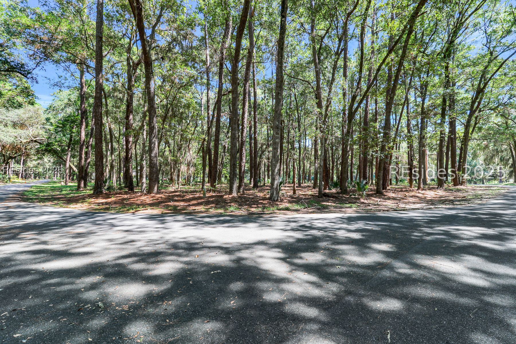 Wooded lot with mature trees and paved road frontage.