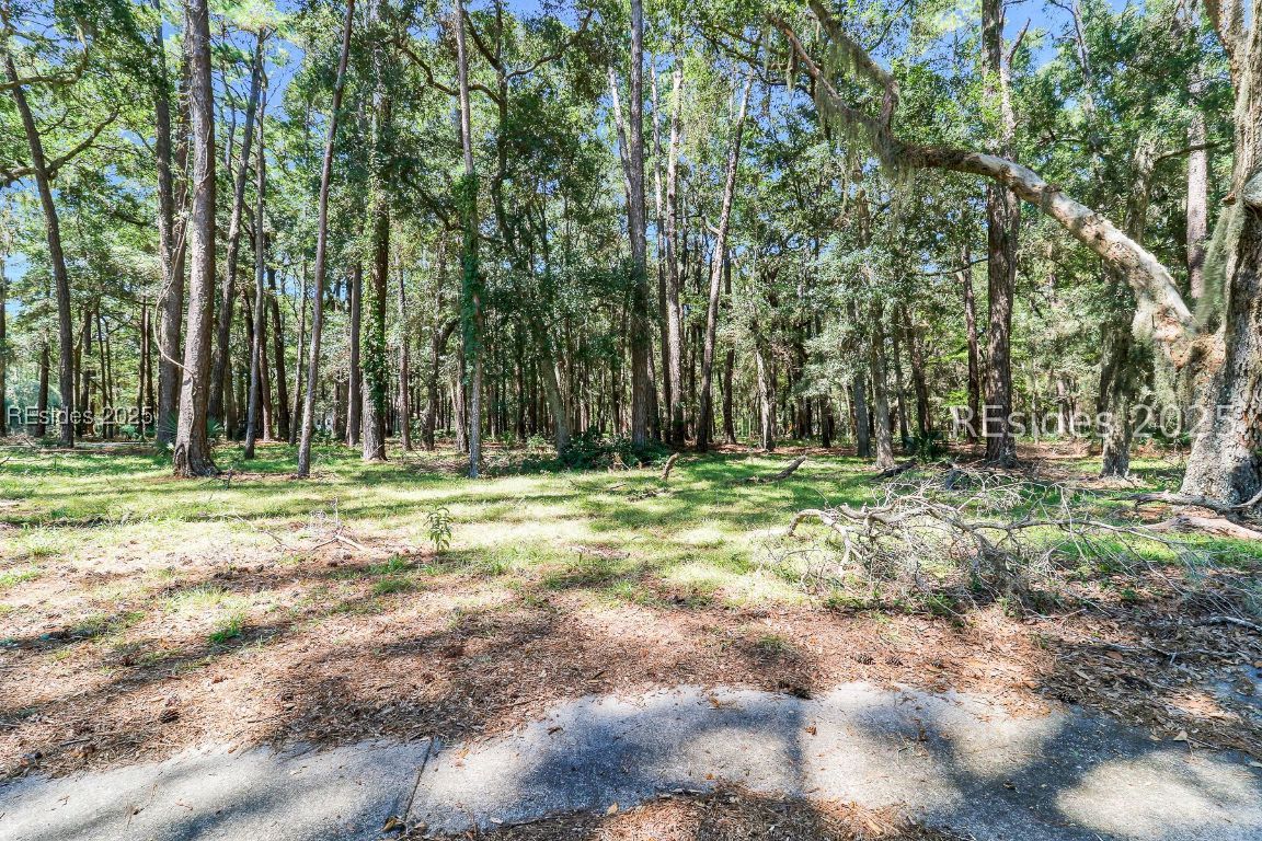 2 Volunteers Ridge