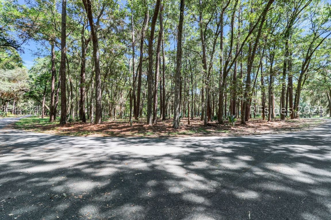 2 Volunteers Ridge