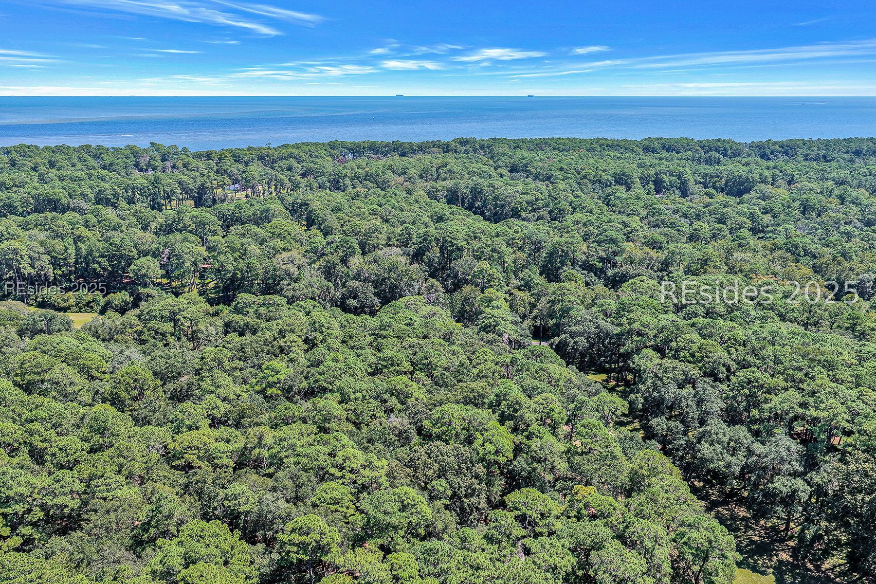 Aerial view over coastal forest to the ocean and horizon.