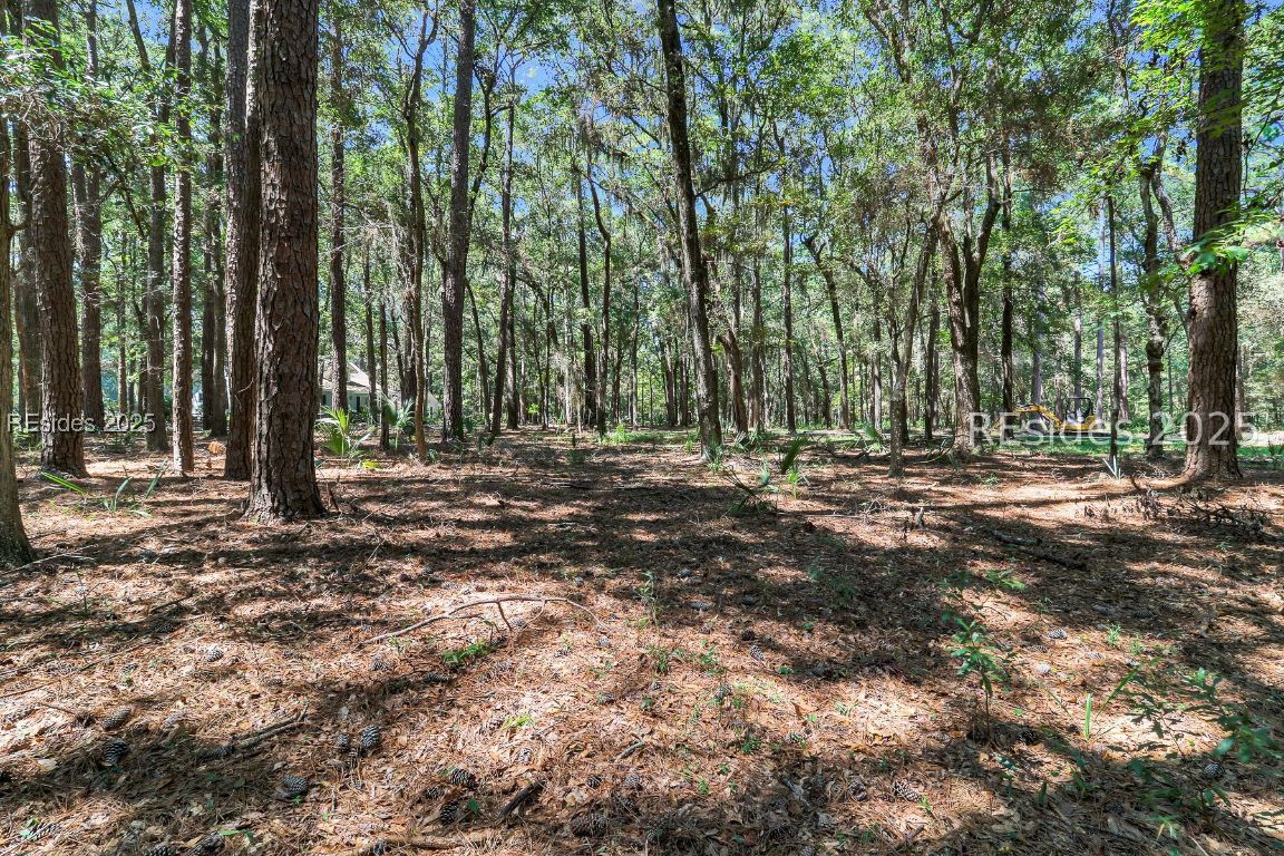2 Volunteers Ridge