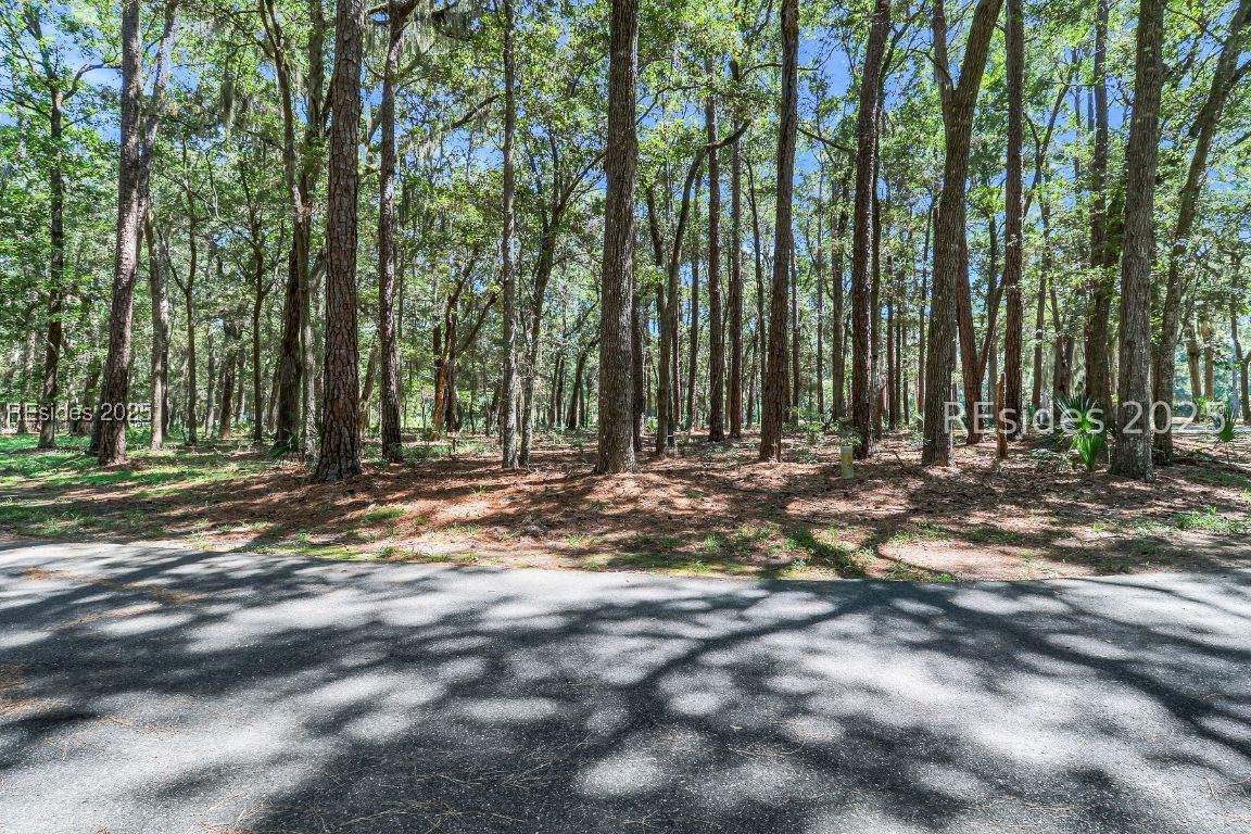 2 Volunteers Ridge