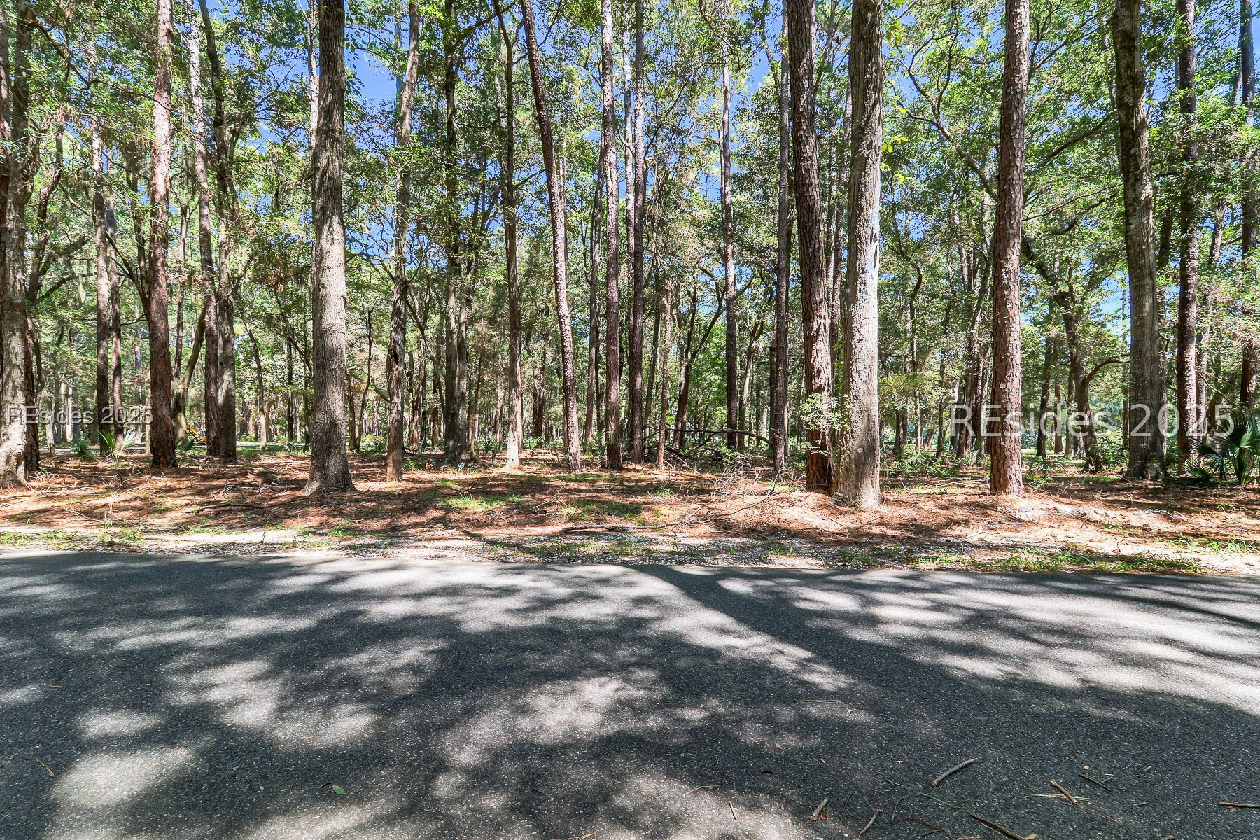 Wooded vacant lot beside a paved road, shaded by tall mature trees.