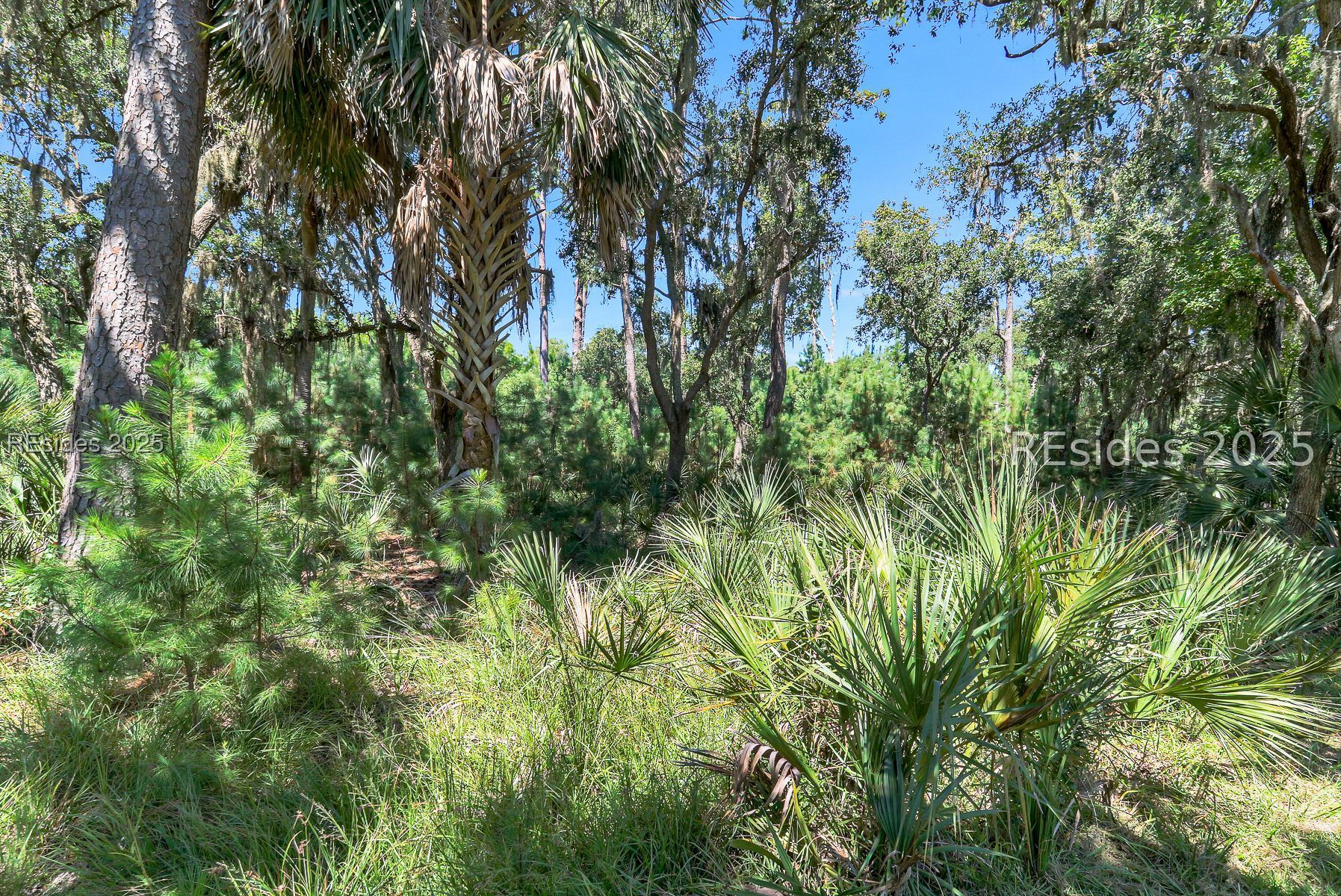 10 Beauregard Boulevard